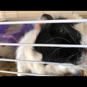 Meet your Posher, Jackie